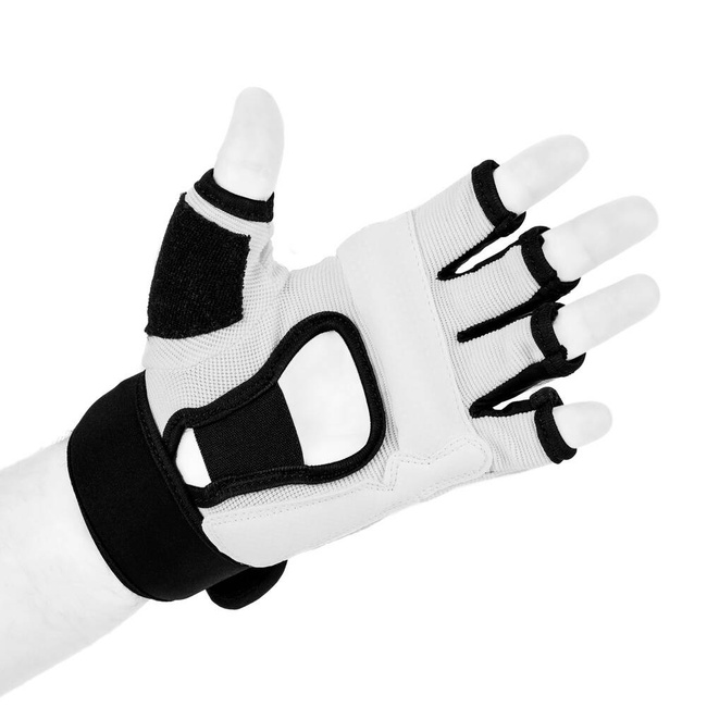 Karate/teakwando gloves WTF | DBX-T-1M