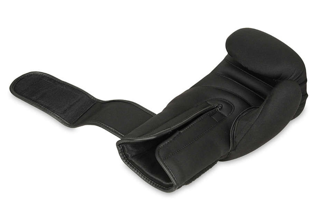 Boxing Gloves 8oz - EverClean - Origin Series