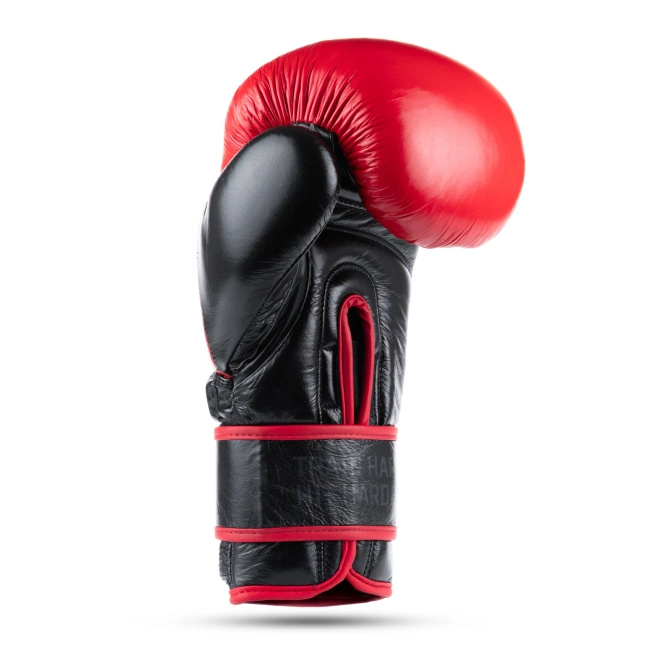 Warrior RED boxing gloves DBX BUSHIDO