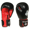 BUSHIDO SPARRING BOXING GLOVES 8 oz Model ARB-407