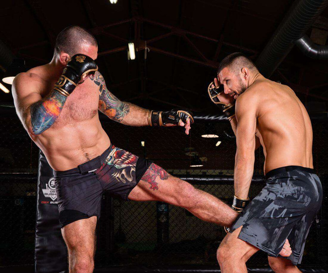 ARM-2011d MMA gloves DBX BUSHIDO L