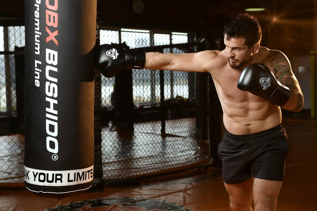 Boxing Gloves 12oz - Eclipse - Origin Series