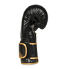 Boxing and sparring gloves B-2v10 8 oz
