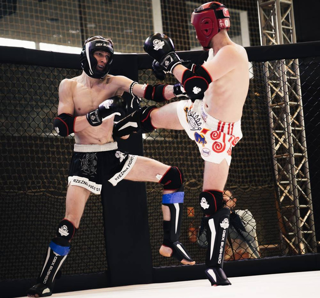 Boxing Gloves 16oz - Classic White - Origin Series