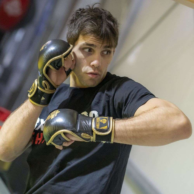 ARM-2011d MMA gloves DBX BUSHIDO L