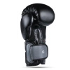 Training Boxing Gloves - Sparring - DBX-B-2v9 - 12 oz