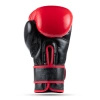 Warrior RED boxing gloves DBX BUSHIDO