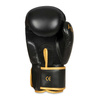 Sparring boxing gloves "HAWK" B-2v17 Active Clima 10 oz