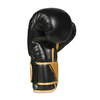 Boxing and sparring gloves B-2v10 10 oz