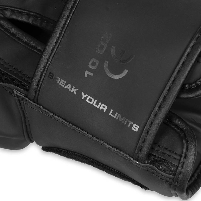 Boxing Gloves 12oz - Raptor - Origin Series