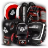 MMA equipment collection DBX BUSHIDO "WARRIOR" - 8% discount