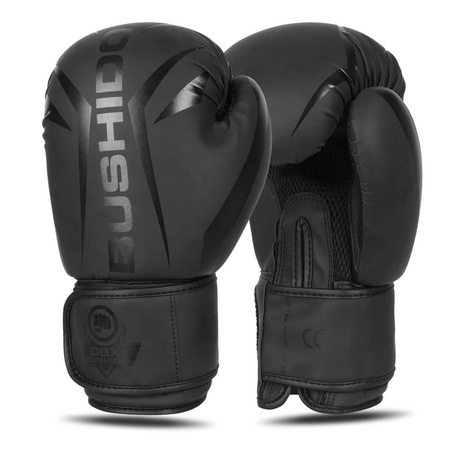Boxing Gloves 12oz - Raptor - Origin Series