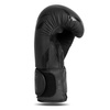 Raptor sparring boxing gloves - B-2v22 10 oz