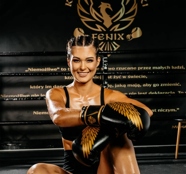 Boxing Gloves 10oz - Hawk - Origin Series
