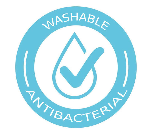 Boxing Gloves 10oz - EverClean - seria Origin