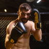 Natural leather boxing gloves "HAMMER - GOLD" 16 oz