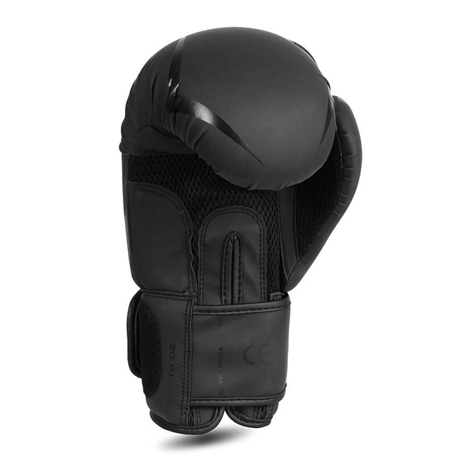 Boxing Gloves 12oz - Raptor - Origin Series