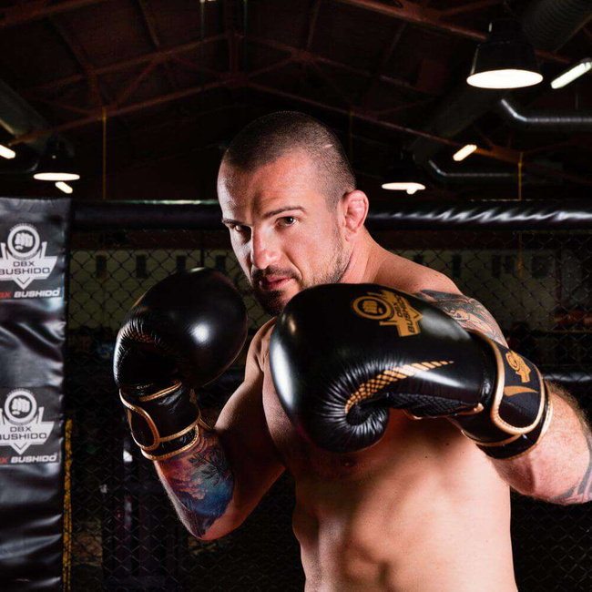 Boxing Gloves 10oz - Aureos - Valor Series