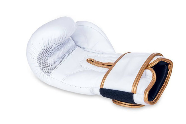 LEATHER BOXING GLOVES - BUSHIDO - WHITE 14oz Model: DBD-B-2