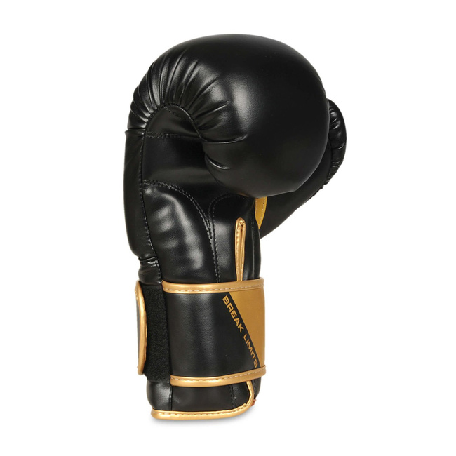 Boxing and sparring gloves B-2v10 8 oz
