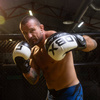 Boxing Gloves 10oz - Harmony - Valor Series