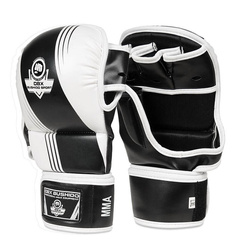 ARM-2011A MMA gloves DBX BUSHIDO L/XL