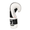 Boxing Gloves 10oz - Edge - Valor Series