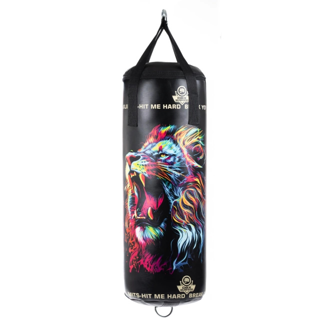 Kids Punching Bag – Leon – Empty – 75 cm | DBX Bushido