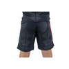 Rashguard + Shorts training set