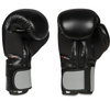 Training Boxing Gloves - Sparring - DBX-B-2v9 - 10 oz