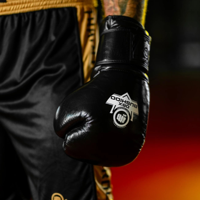 Boxing Gloves 10oz - ProFight - Legacy Series
