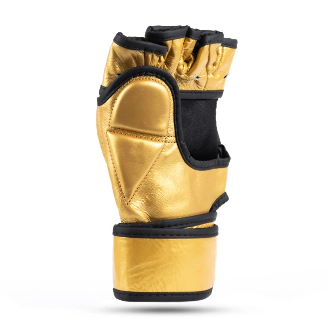 Leather MMA gloves DBX BUSHIDO E1v3 GOLD L