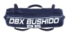 POWER BAG DBX BUSHIDO - CROSS TRAINING DEVICE - 10 KG