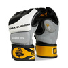 E1V2 MMA gloves DBX BUSHIDO L