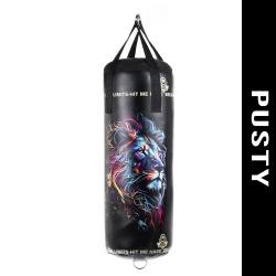 Kids Punching Bag – Leon – Empty – 65 cm | DBX Bushido