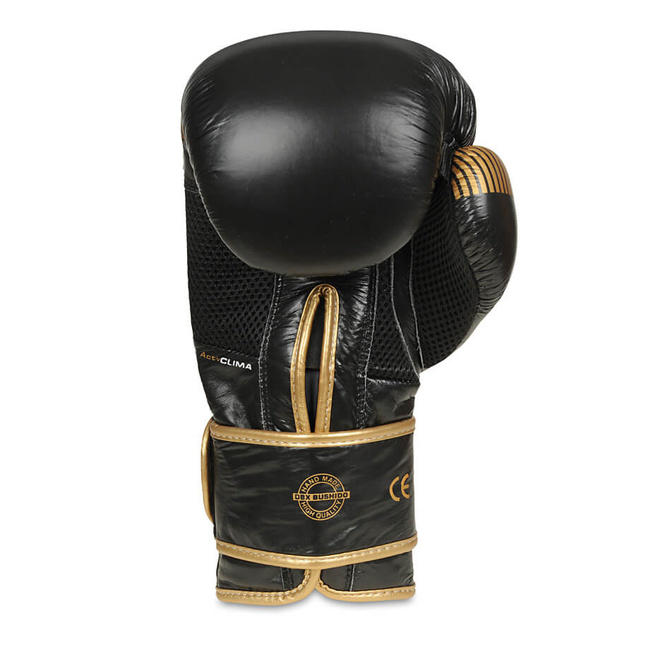 Boxing Gloves 10oz - Aureos - Valor Series