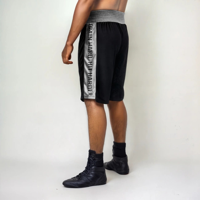 SILVER training boxing shorts