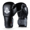 Boxing Gloves 12oz - Eclipse - Origin Series