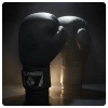 Boxing Gloves 10oz - Black Master - Valor Series