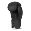Boxing Gloves 12oz - Raptor - Origin Series