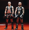 BUSHIDO SP-10 XL Shin and Foot Protectors