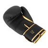 Boxing Gloves 14oz - Gold Dragon - Valor Series