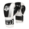 BUSHIDO B-2v3A BOXING SPARRING GLOVES 10oz