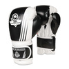 Boxing Gloves 12oz - Edge - Valor Series
