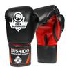 BUSHIDO SPARRING BOXING GLOVES 10 oz Model ARB-407