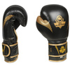 Boxing Gloves 10oz - Aureos - Valor Series