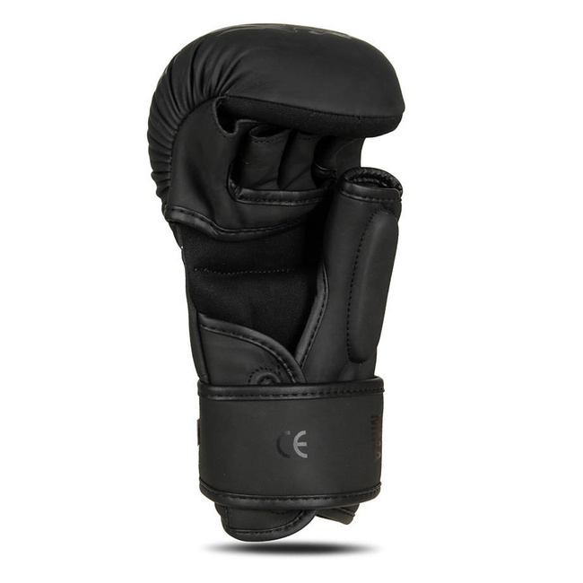 Black Dragon MMA gloves DBX BUSHIDO XL