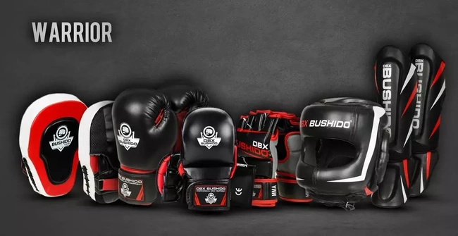 MMA equipment collection DBX BUSHIDO "WARRIOR" - 8% discount