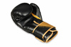 Boxing and sparring gloves B-2v10 10 oz
