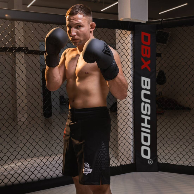 Boxing Gloves 10oz - Taver Black - Origin Series